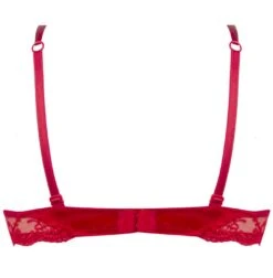 Gefütterter Seiden BH SPLENDEUR SOIE Von Lise Charmel -Amoena Verkaufs-Shop bh gefuettert seide acc8580b rot 2478 splendeur soie lise charmel 1