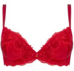 Gefütterter Seiden BH SPLENDEUR SOIE Von Lise Charmel -Amoena Verkaufs-Shop bh gefuettert seide acc8580d rot 2478 splendeur soie lise charmel 2 1