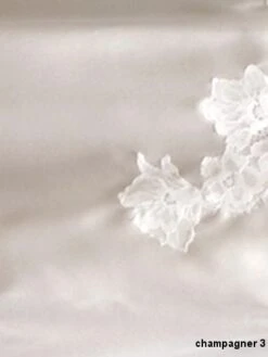 Seta Superior Seiden-Negligé SPLENDIDA Satin Von Cotton Club -Amoena Verkaufs-Shop farbfeld seide spitze champagner seta superior cotton club 1 2