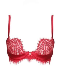 BLACK SWAN Spitzen Push Up BH Von Prelude Milano 12 BLACK SWAN Spitzen Push Up BH Von Prelude Milano -Amoena Verkaufs-Shop push up bh pads spitze ys285 rot black swan prelude milano 2