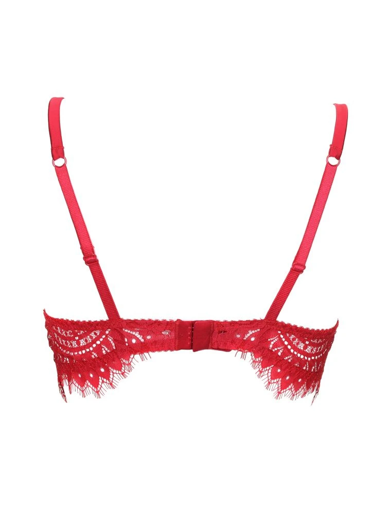 BLACK SWAN Spitzen Push Up BH Von Prelude Milano 7 BLACK SWAN Spitzen Push Up BH Von Prelude Milano – Bild 7