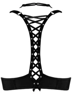 Push-Up BH ANGEL OF HARLEM Schwarz Von Marlies Dekkers -Amoena Verkaufs-Shop push up bh schwarz 19801 angel of harlem marlies dekkers 1