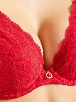 Bügel-BH ROSESSENCE HK Spitze Von Aubade 25 Bügel-BH ROSESSENCE HK Spitze Von Aubade -Amoena Verkaufs-Shop spitze dessous hk12 5 gala rot rosessence aubade