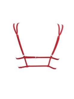 Triangel Longline BLACK SWAN BH Aus Spitze Von Prelude Milano -Amoena Verkaufs-Shop triangel bh longline ys281 rot black swan prelude milano 2 1